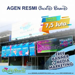 bisnis cuan agen resmi orchid brand