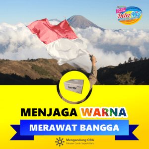 Pemilihan Deterjen