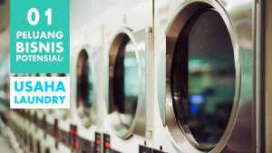 peluang usaha laundry