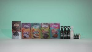 ide jualan bulan puasa
