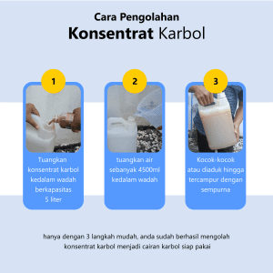 Biang karbol
