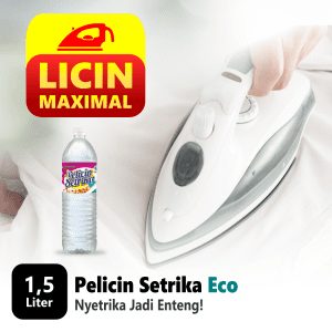 memilih setrika uap