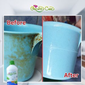 Pembersih kerak orchidcare