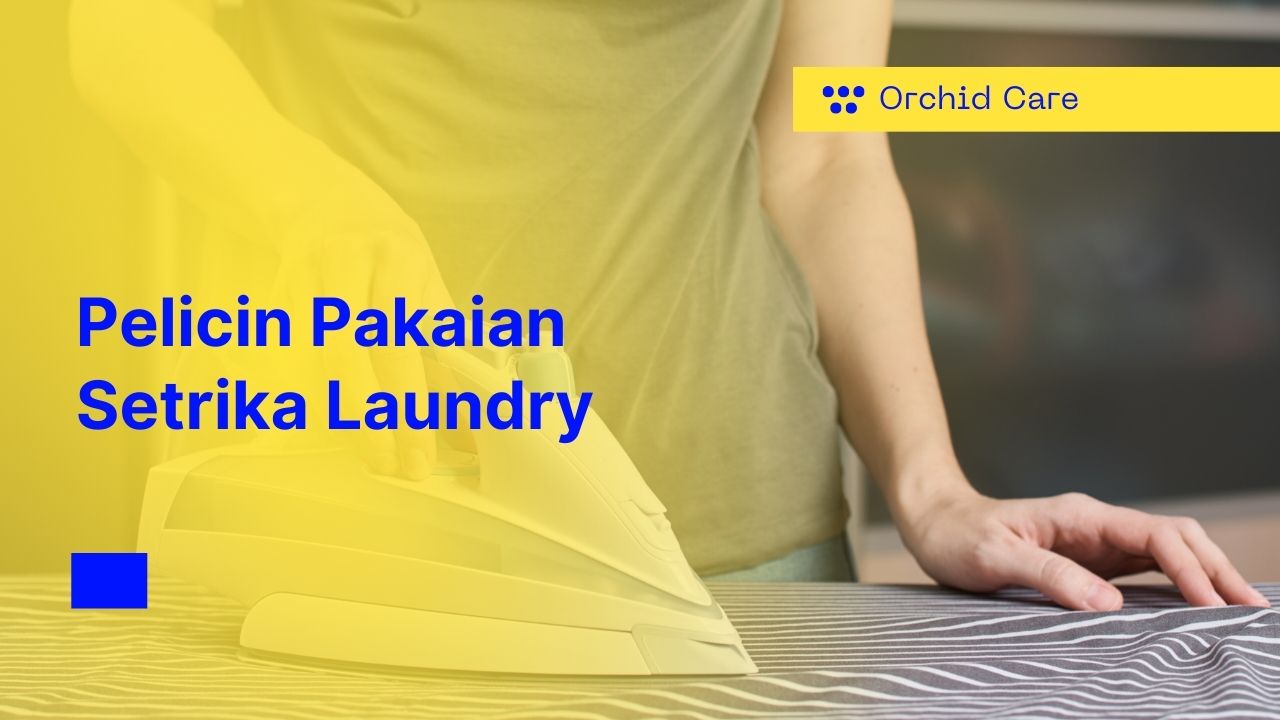 Pelicin Pakaian Setrika Laundry